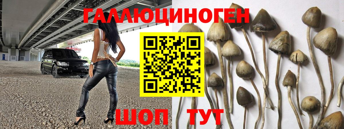 Псилоцибиновые грибы прущие грибы Кинель