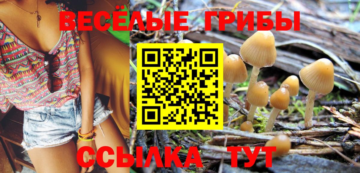 Кинель  Галлюциногенные грибы ЛСД  Псилоцибиновые грибы мицелий  Вход с VPN 