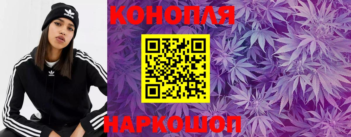 Каннабис MAZAR Кинель